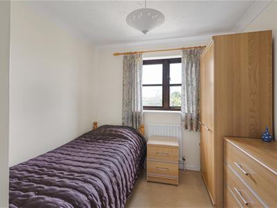 Picture 15